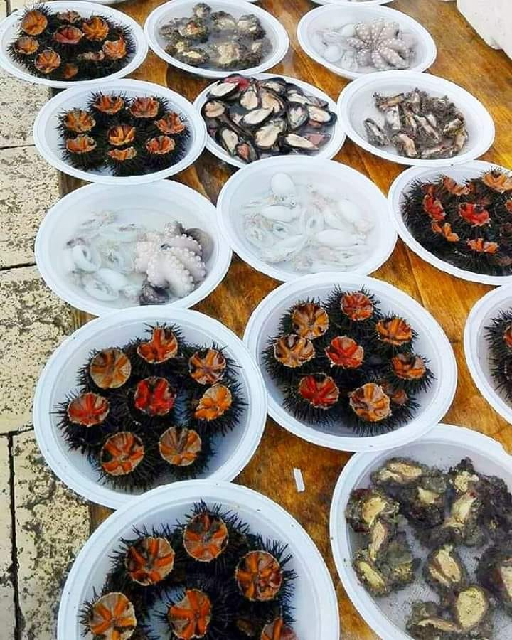 Pescheria I Brillanti Del Mare