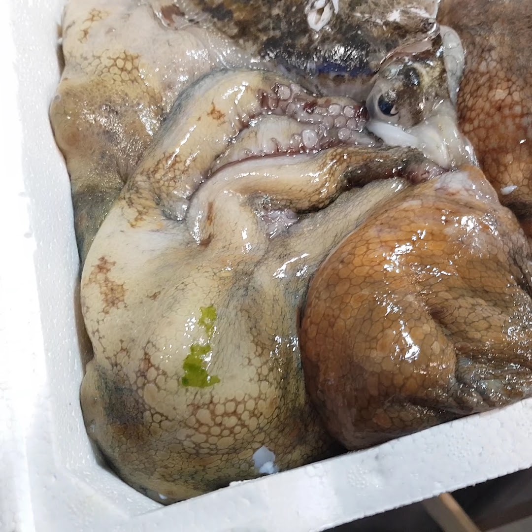 Pescheria "Il Mare Di Terracina"
