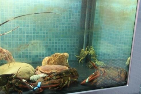 PESCHERIA LA RETE