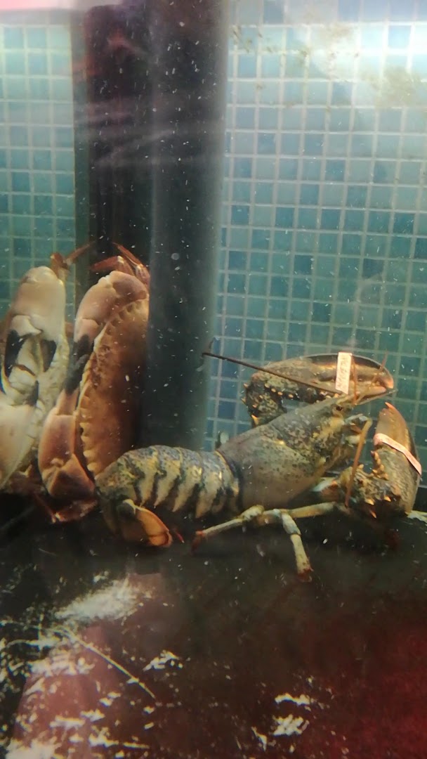 PESCHERIA LA RETE
