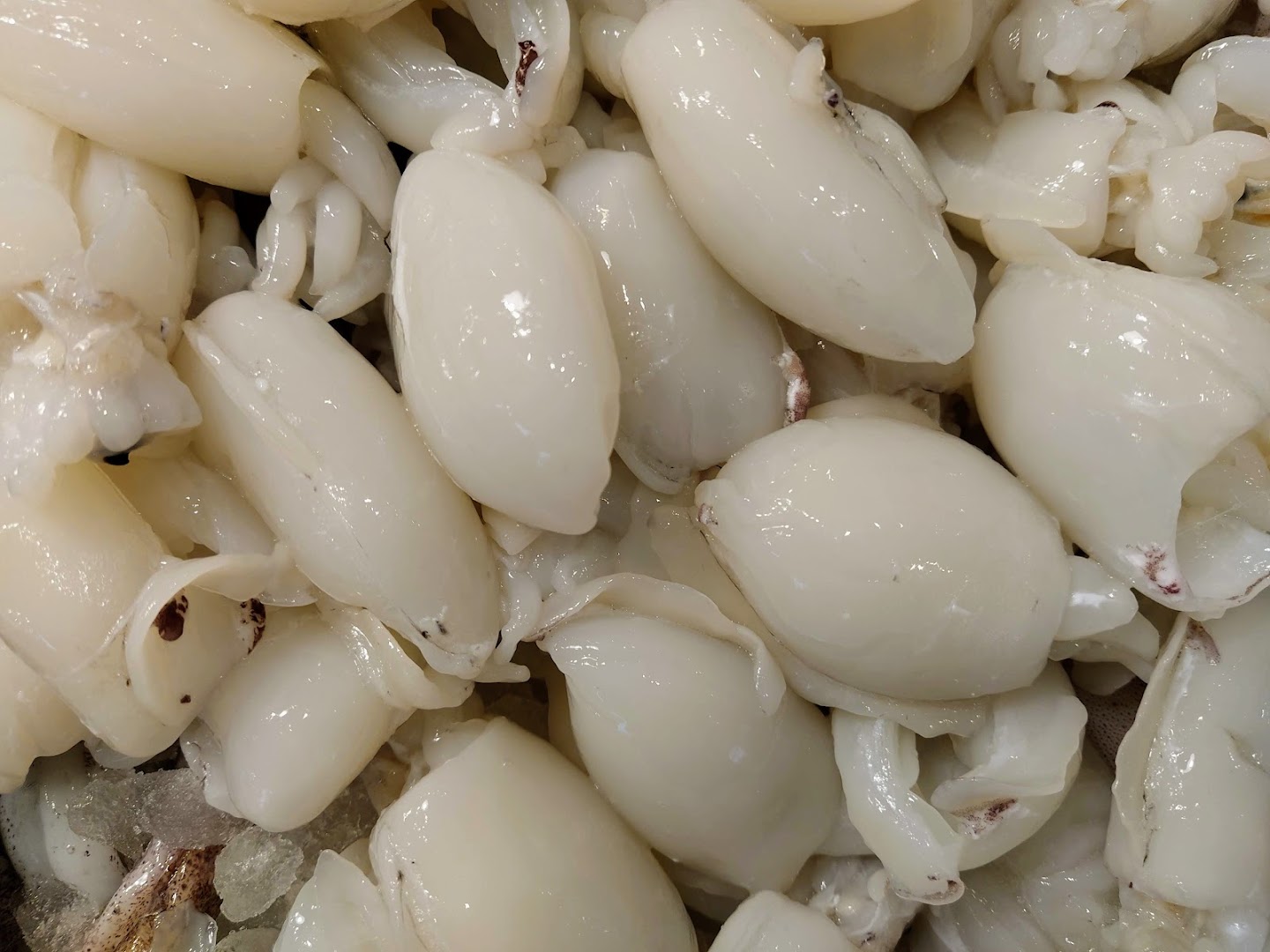 Pescheria Mediterranée, Saronno