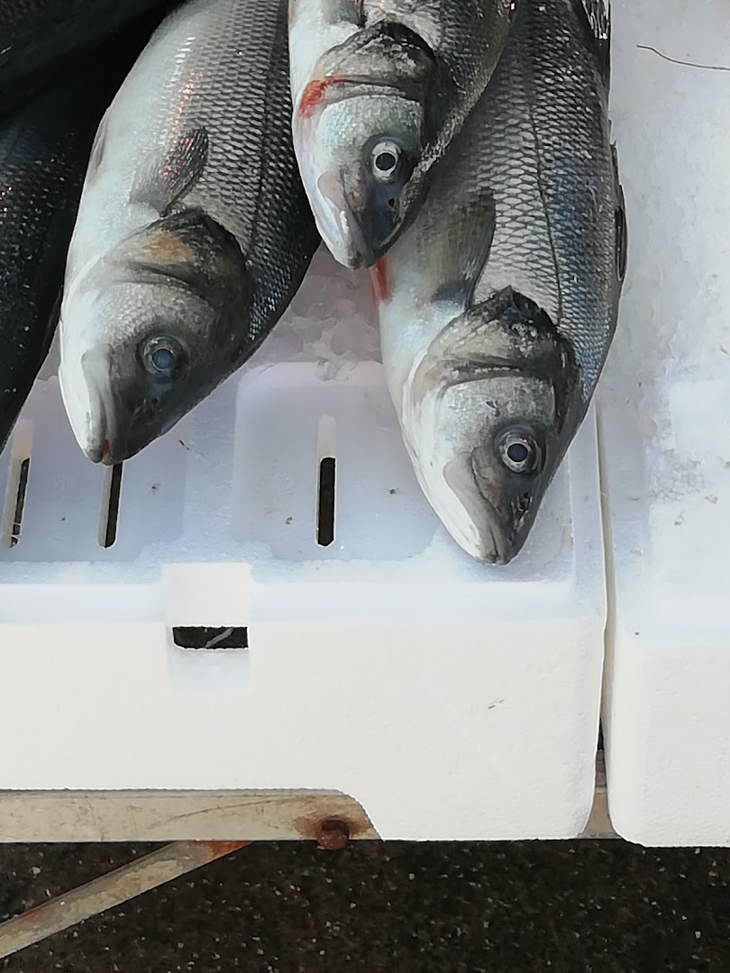 Pescheria Montano Francesco Benevento