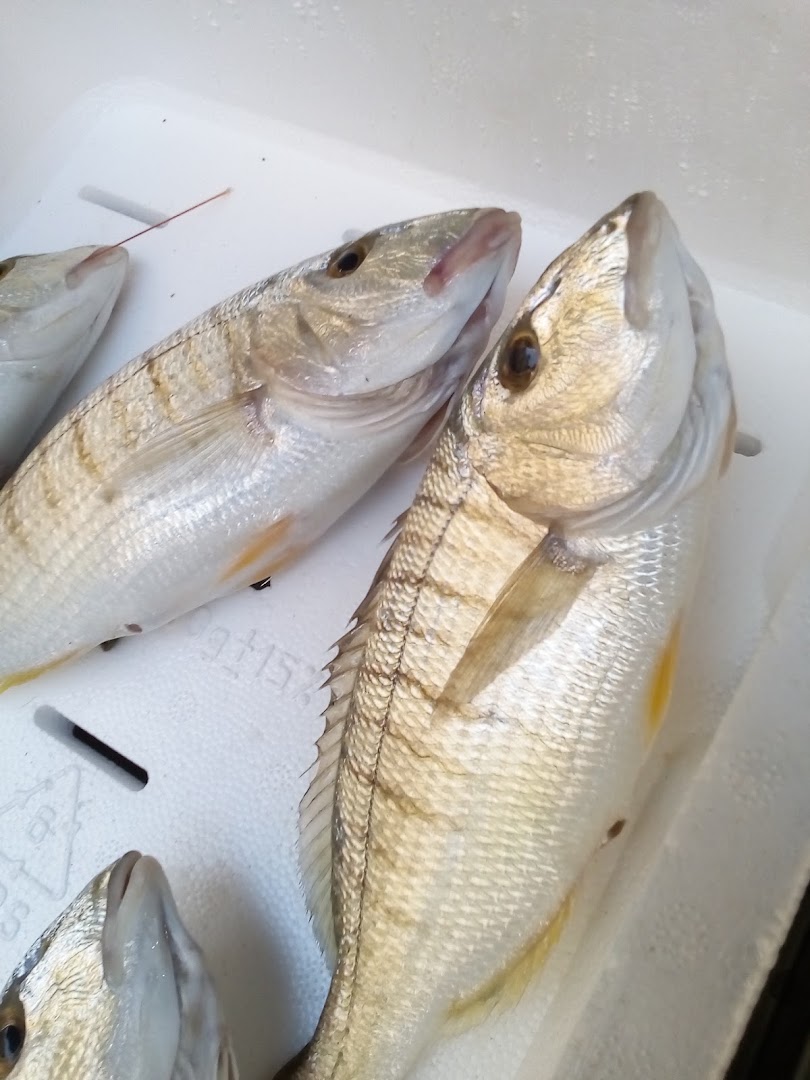 Pescheria Norma