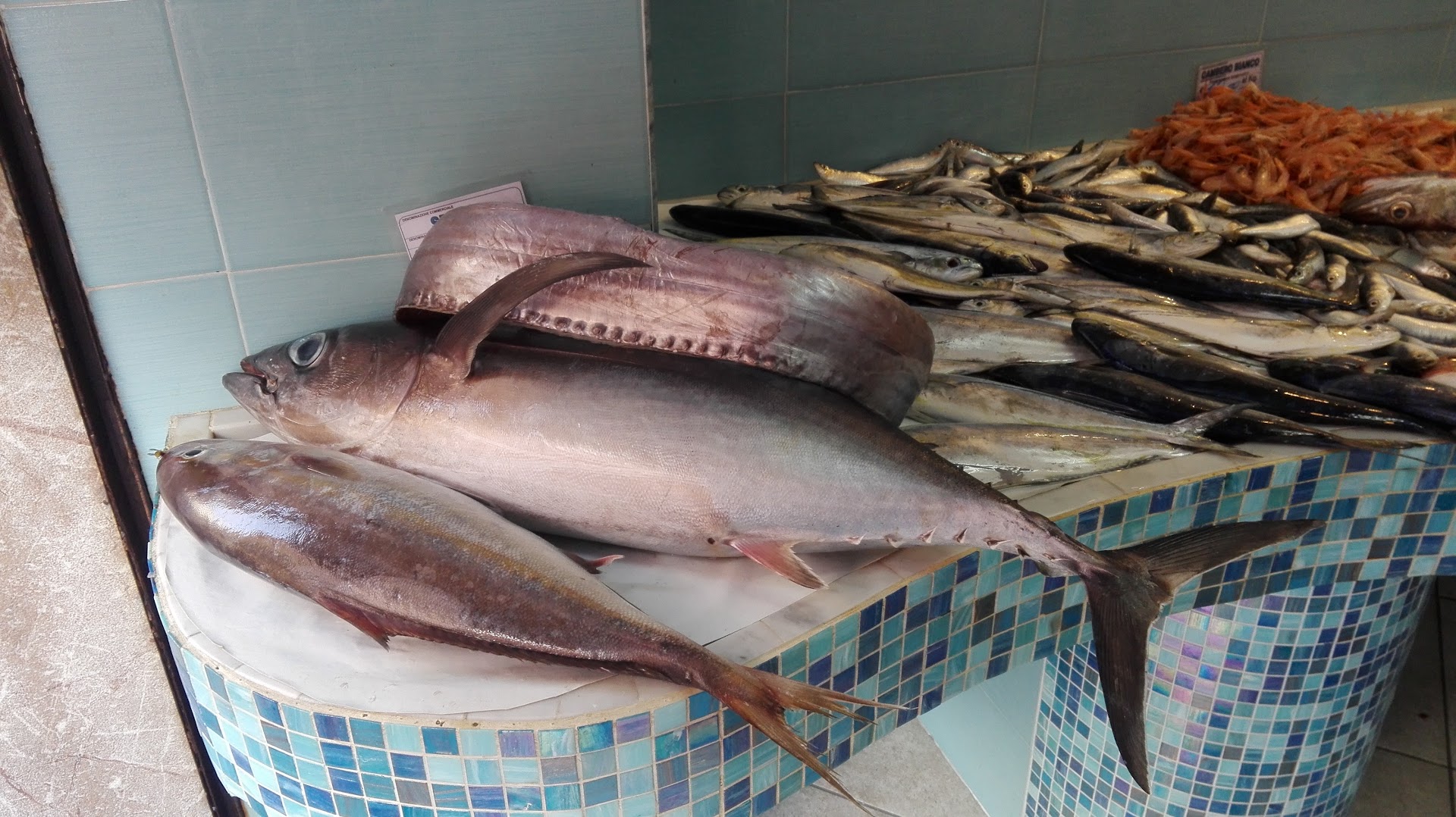 Pescheria Onda Azzurra