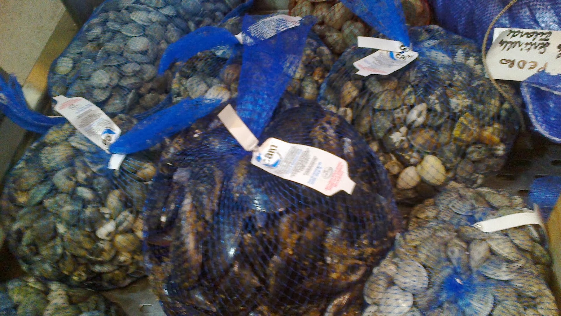 Pescheria Osteria dal Sor Duilio, Roma