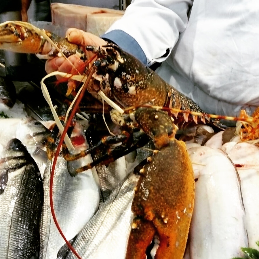 Pescheria Pedol