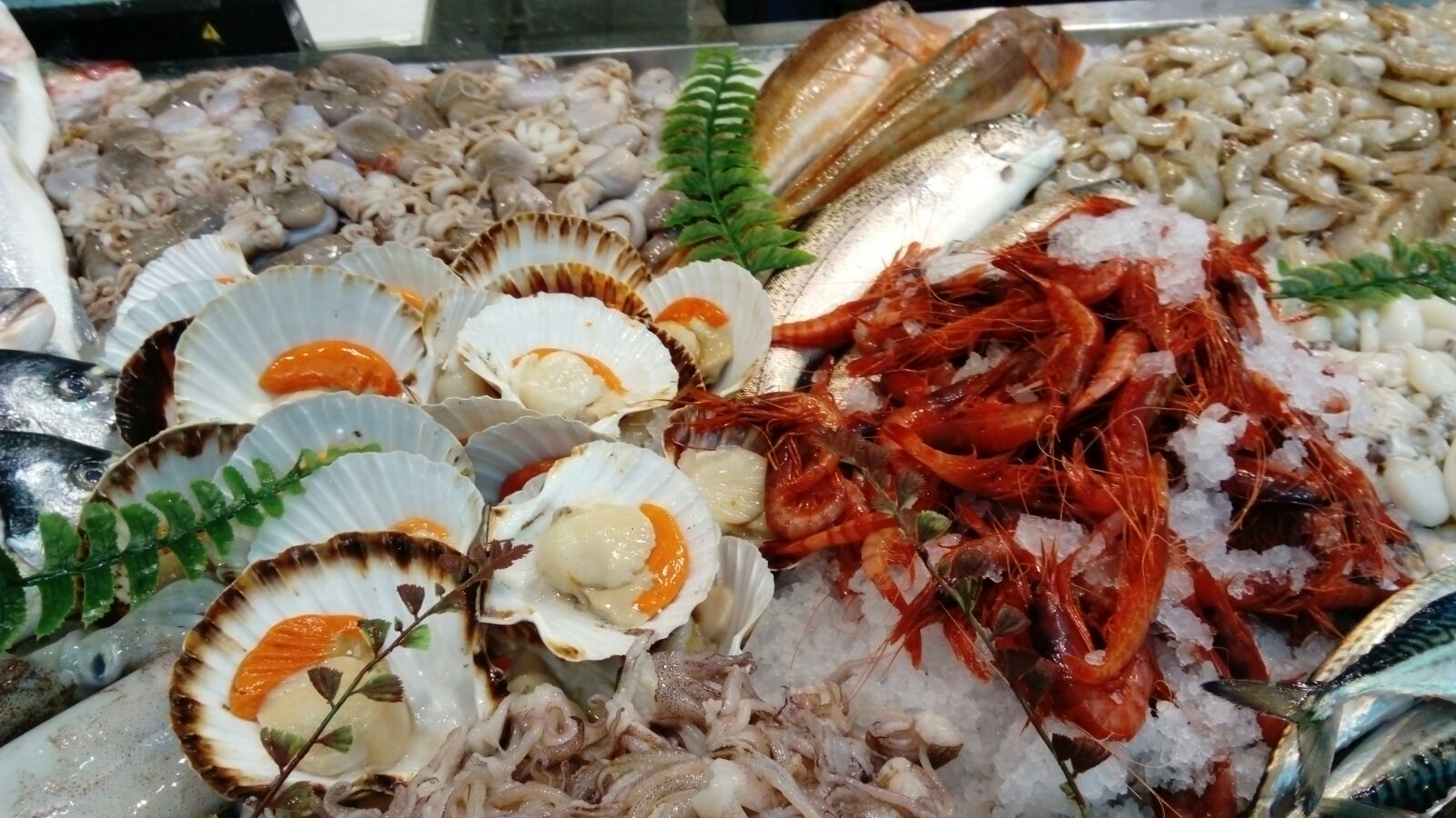 Pescheria Pedol