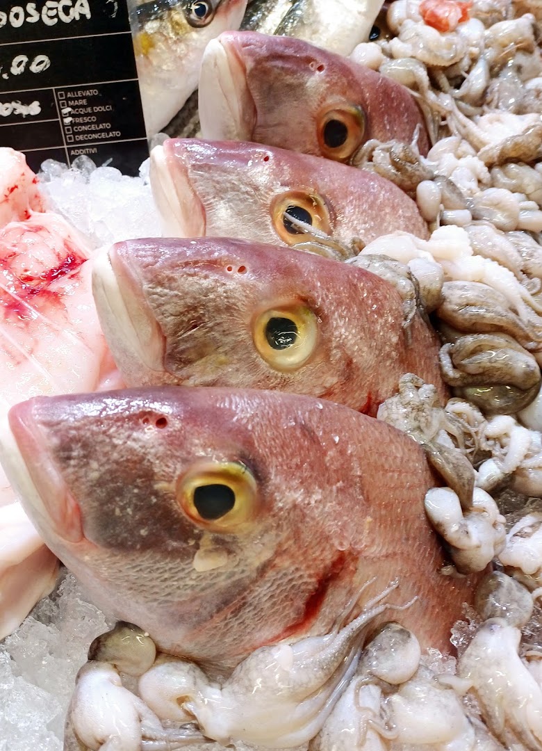 Pescheria Pedol