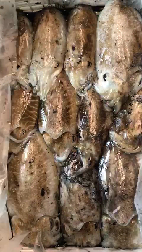 Pescheria Porticella