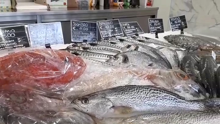 Pescheria Riccio Di Mare
