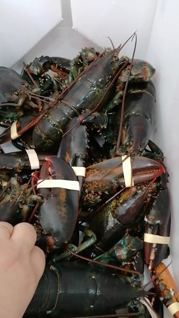 Pescheria Ristorante Rosso Corallo