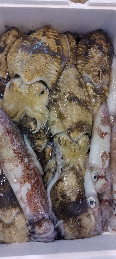 Pescheria Ristorante Rosso Corallo