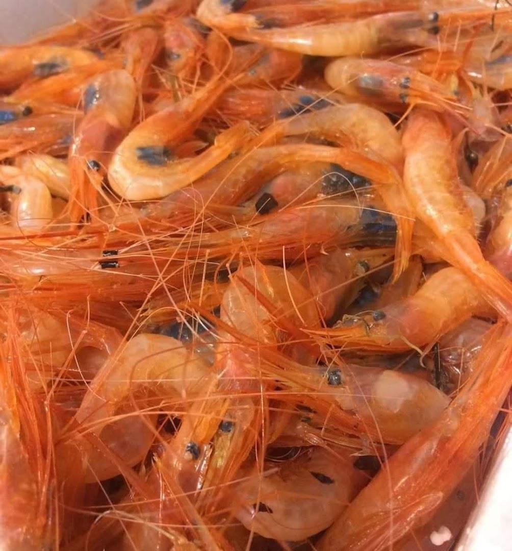 Pescheria Ristorante Rosso Corallo