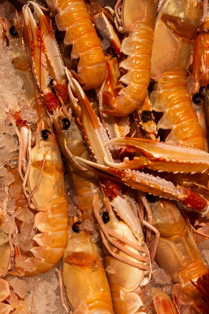 Pescheria Rossini