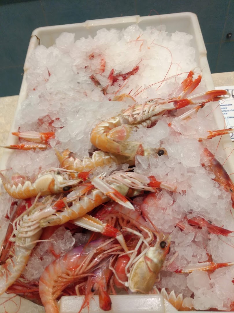 Pescheria Saccheri Crudo & Cotto