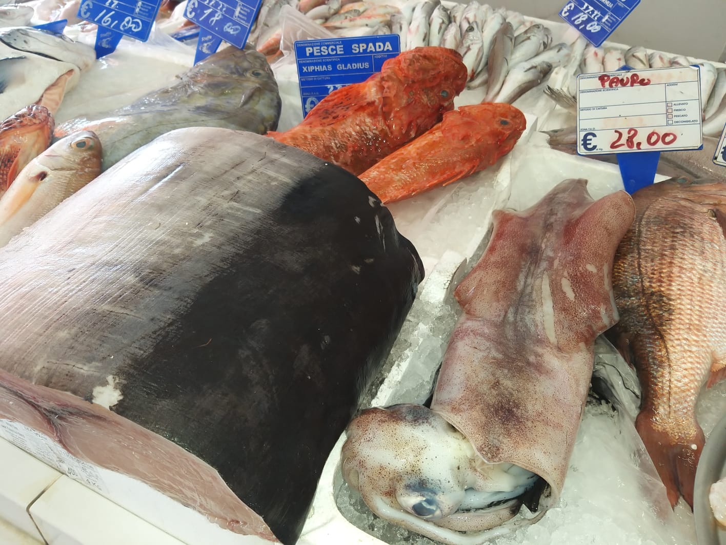 Pescheria Samuele Stoffa Pozzallo