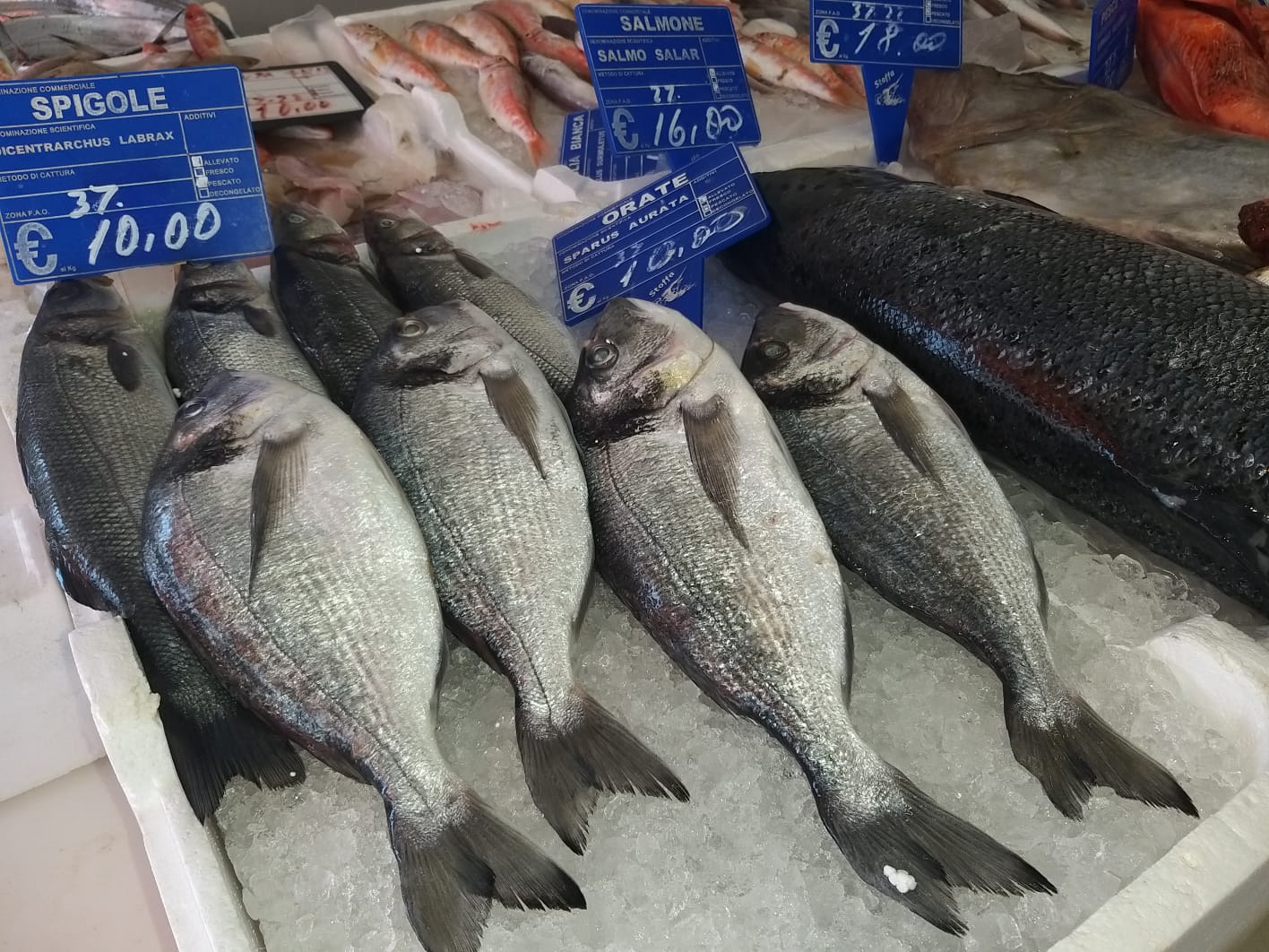 Pescheria Samuele Stoffa Pozzallo