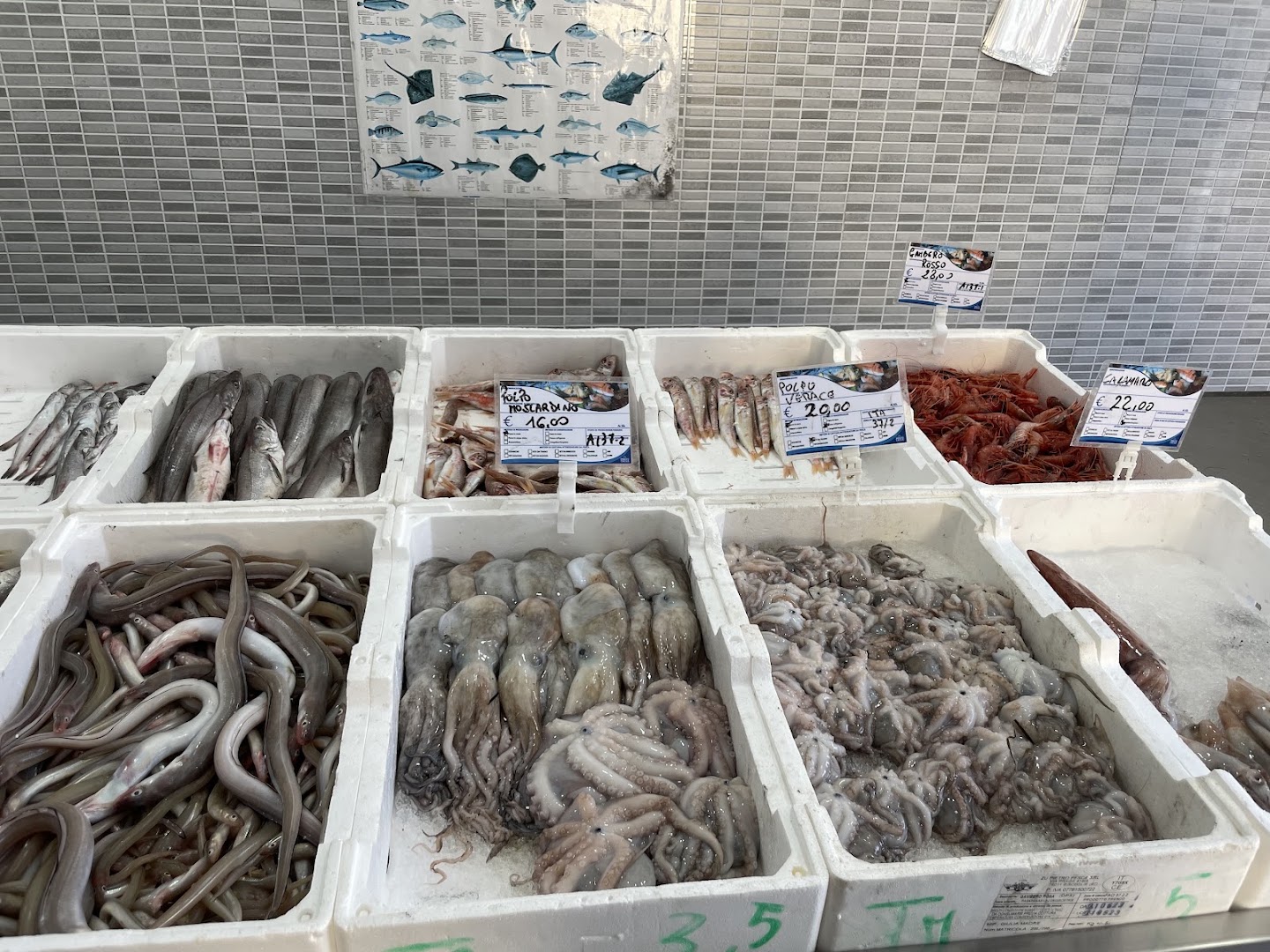Pescheria San Francesco