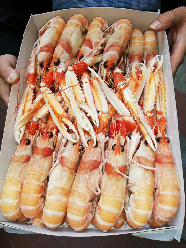 Pescheria Stella Marina
