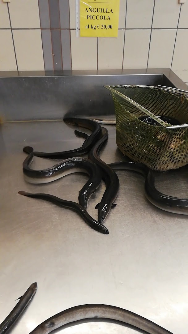 Pescheria Trepponti