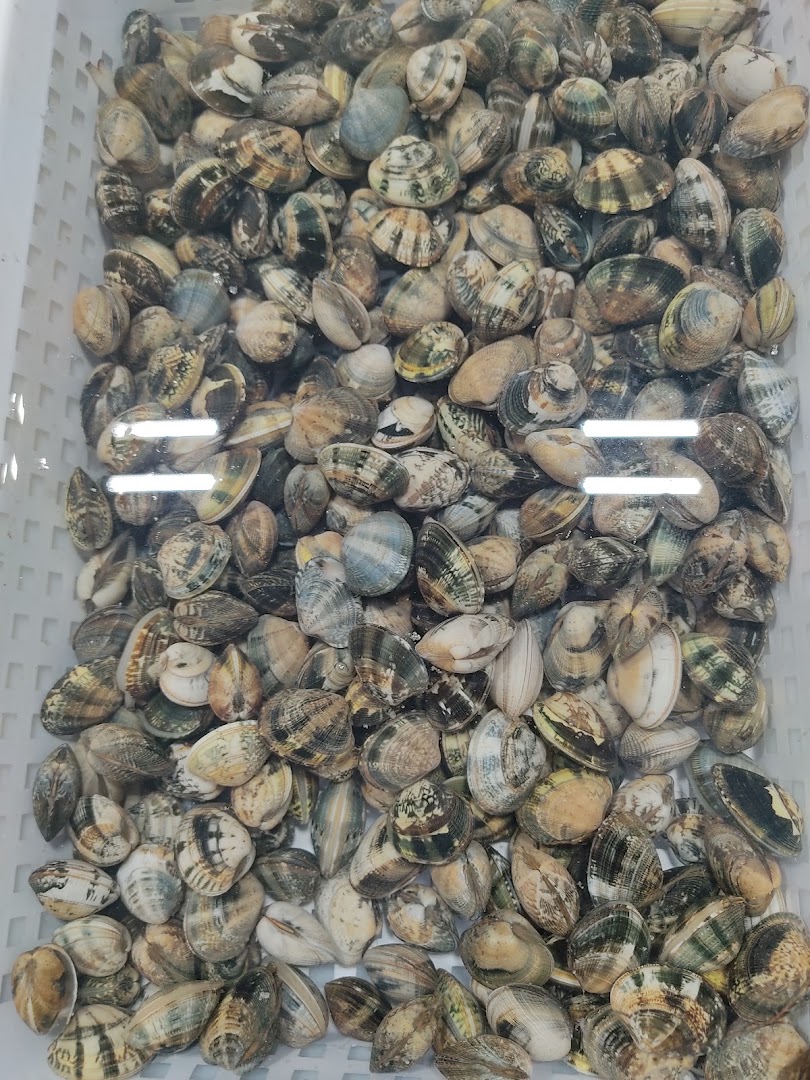 Pescherie Carofiglio di Michele Gagang - Triggiano