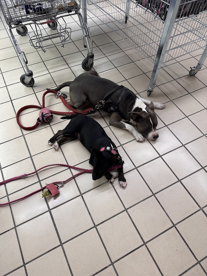Pet Market