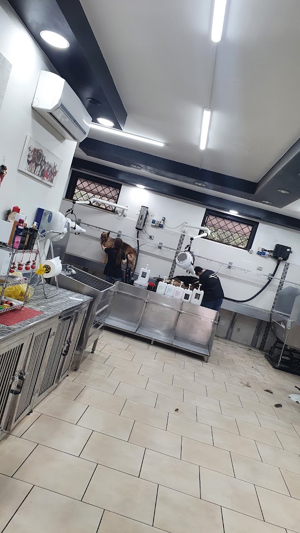 Pet Store Srl, Marcianise