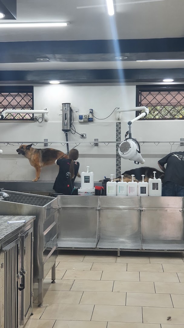 Pet Store Srl