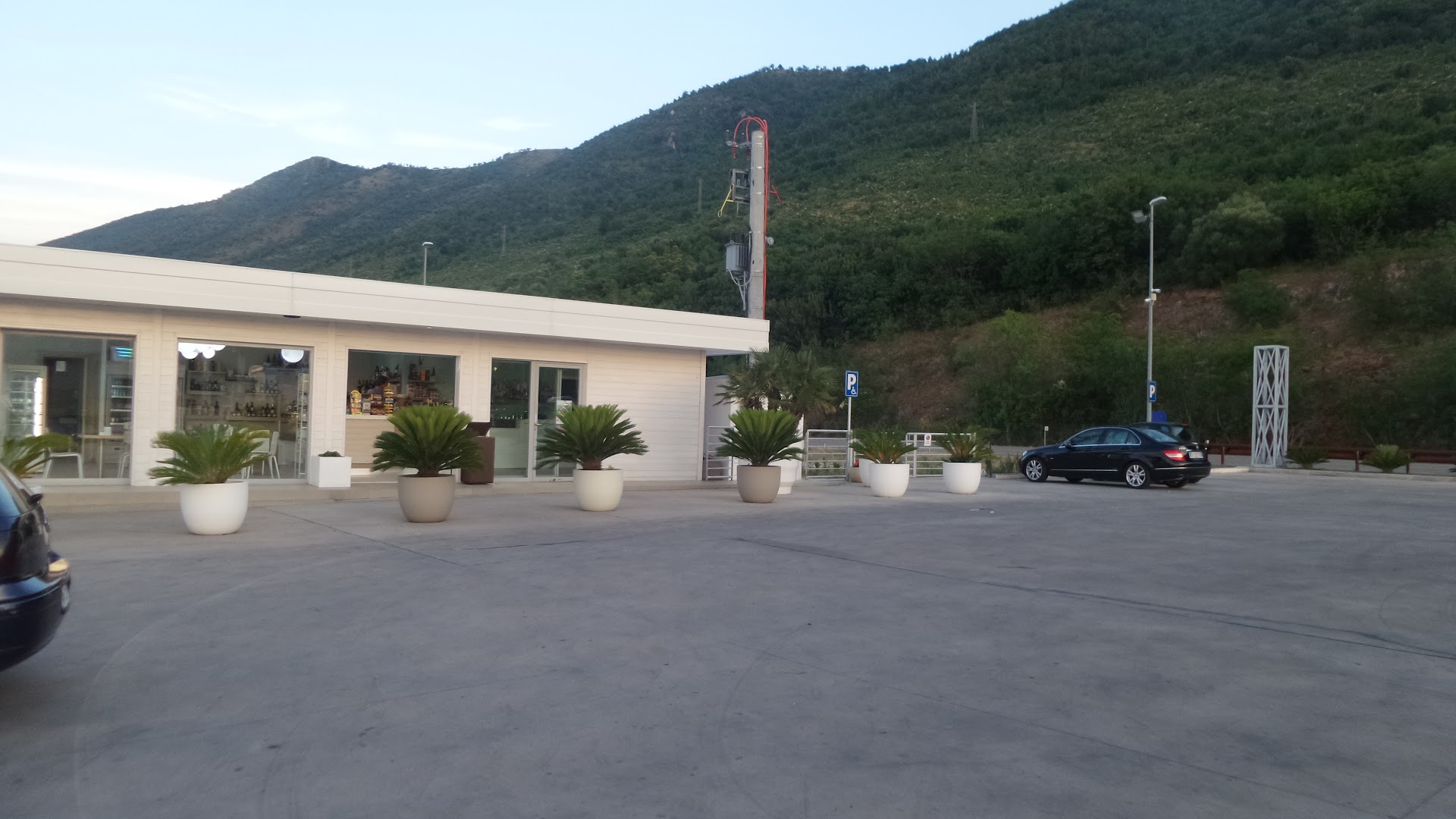 Petrolgas