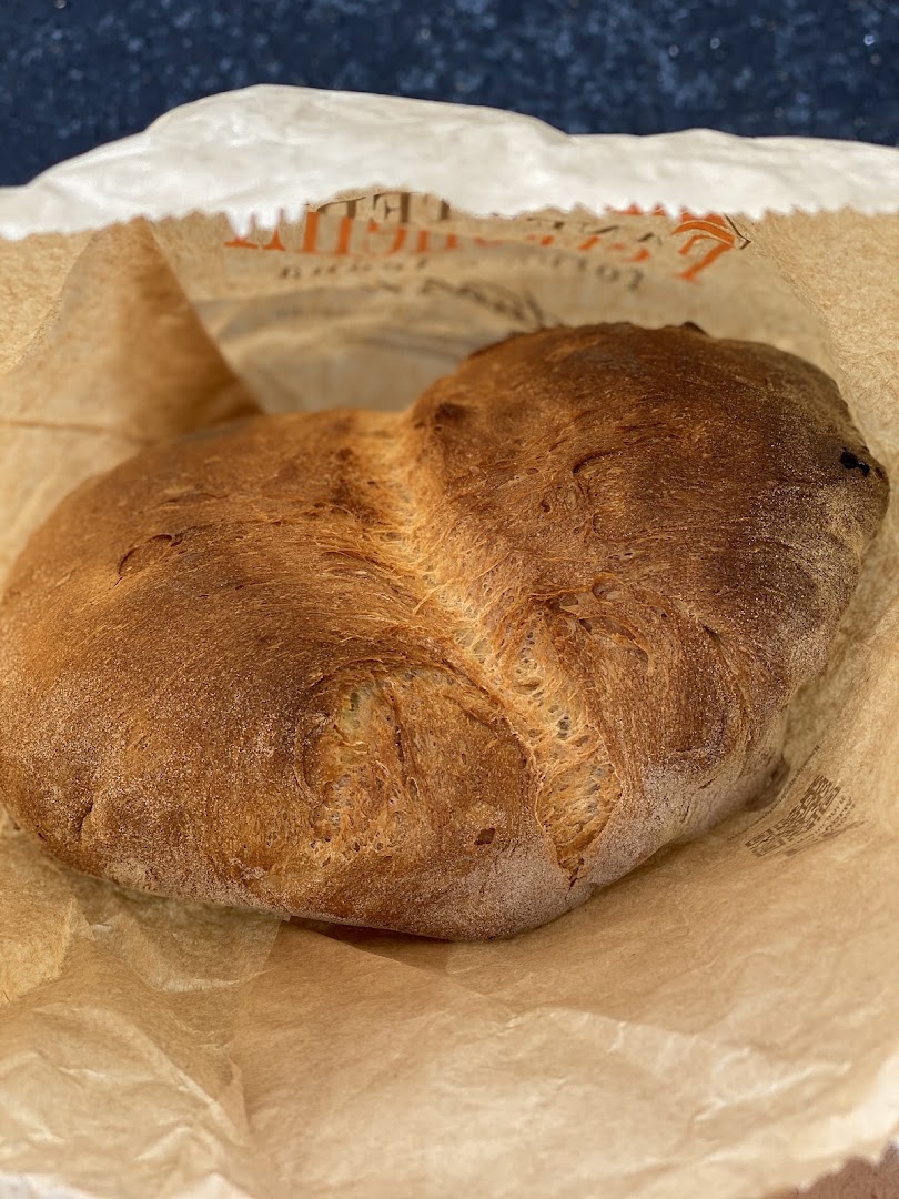 Petronella Panetteria
