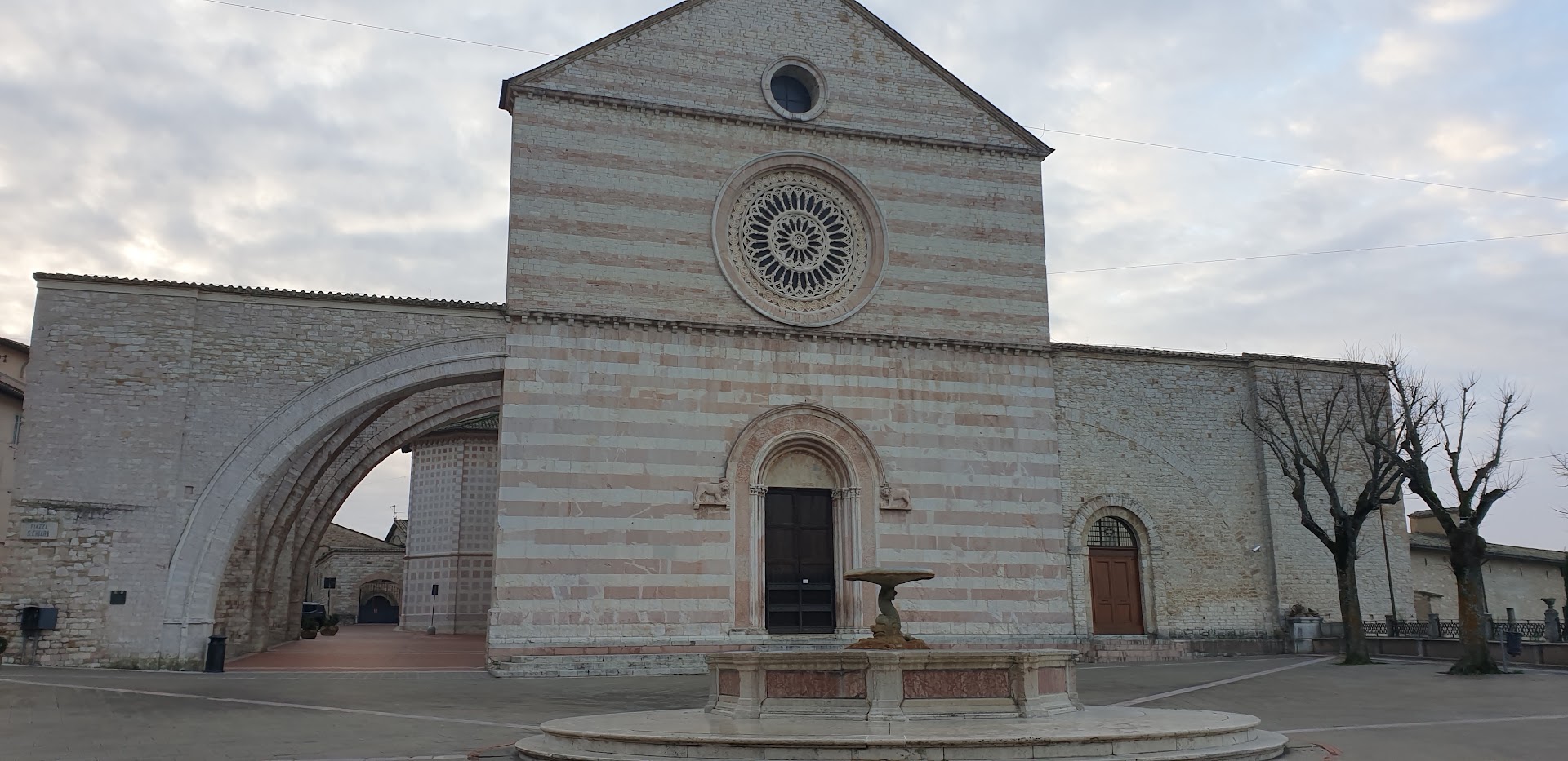 Pettirossi Carlo