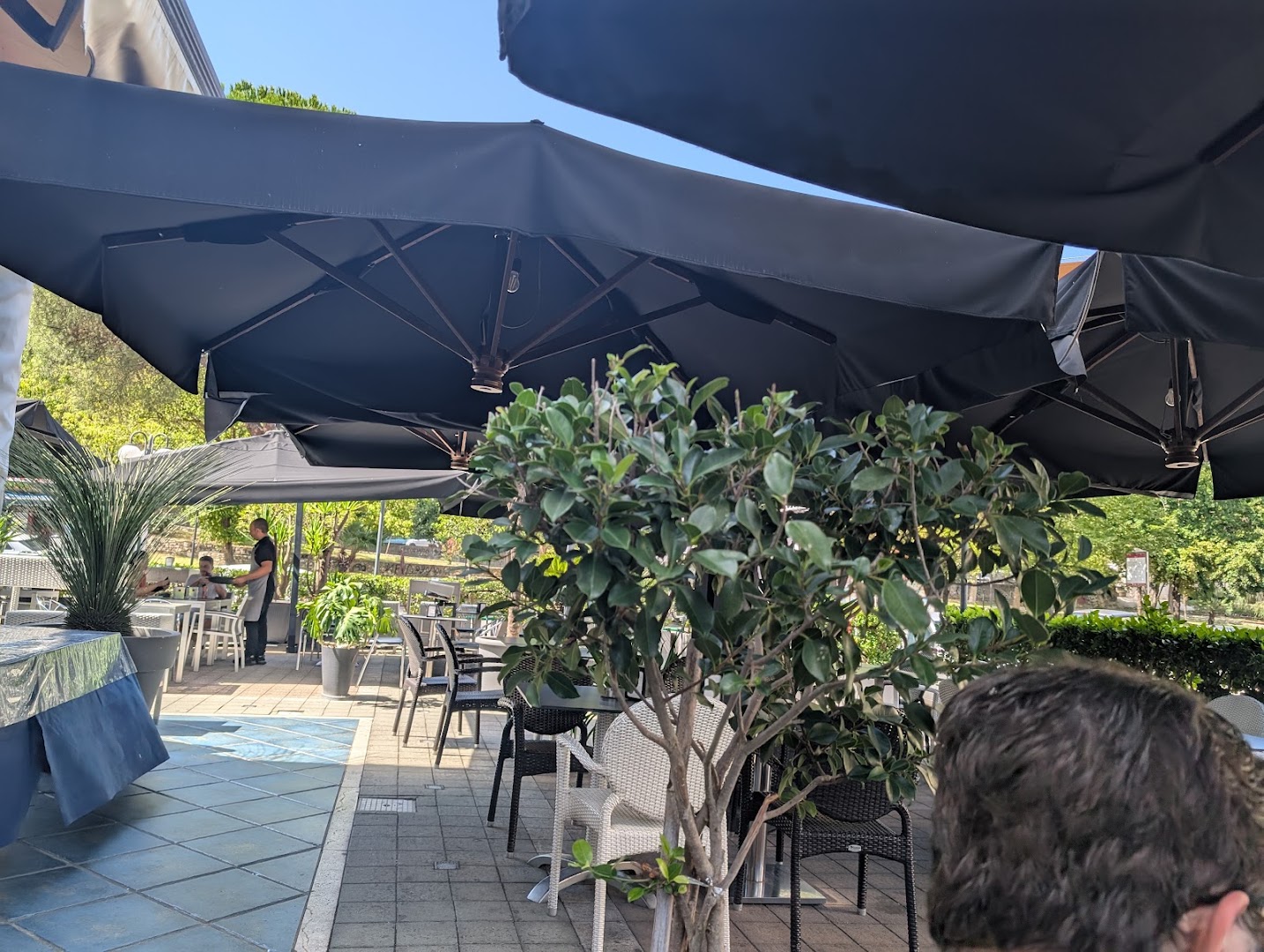 Phoenix Bar