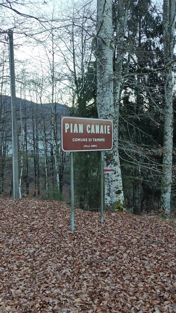 Pian Canaie, Tambre
