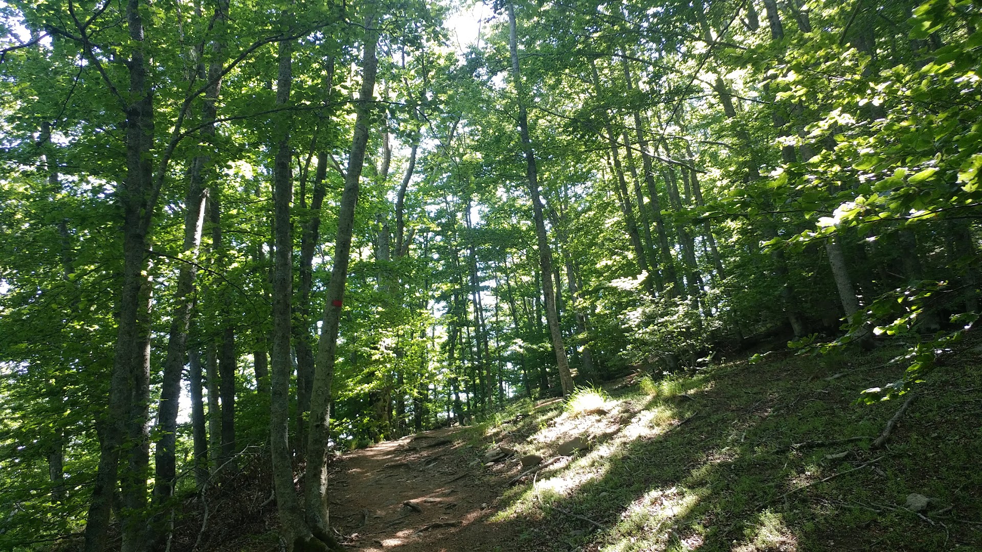 Pian dei Lavacchi