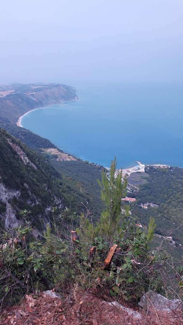 Pian Grande, Ancona