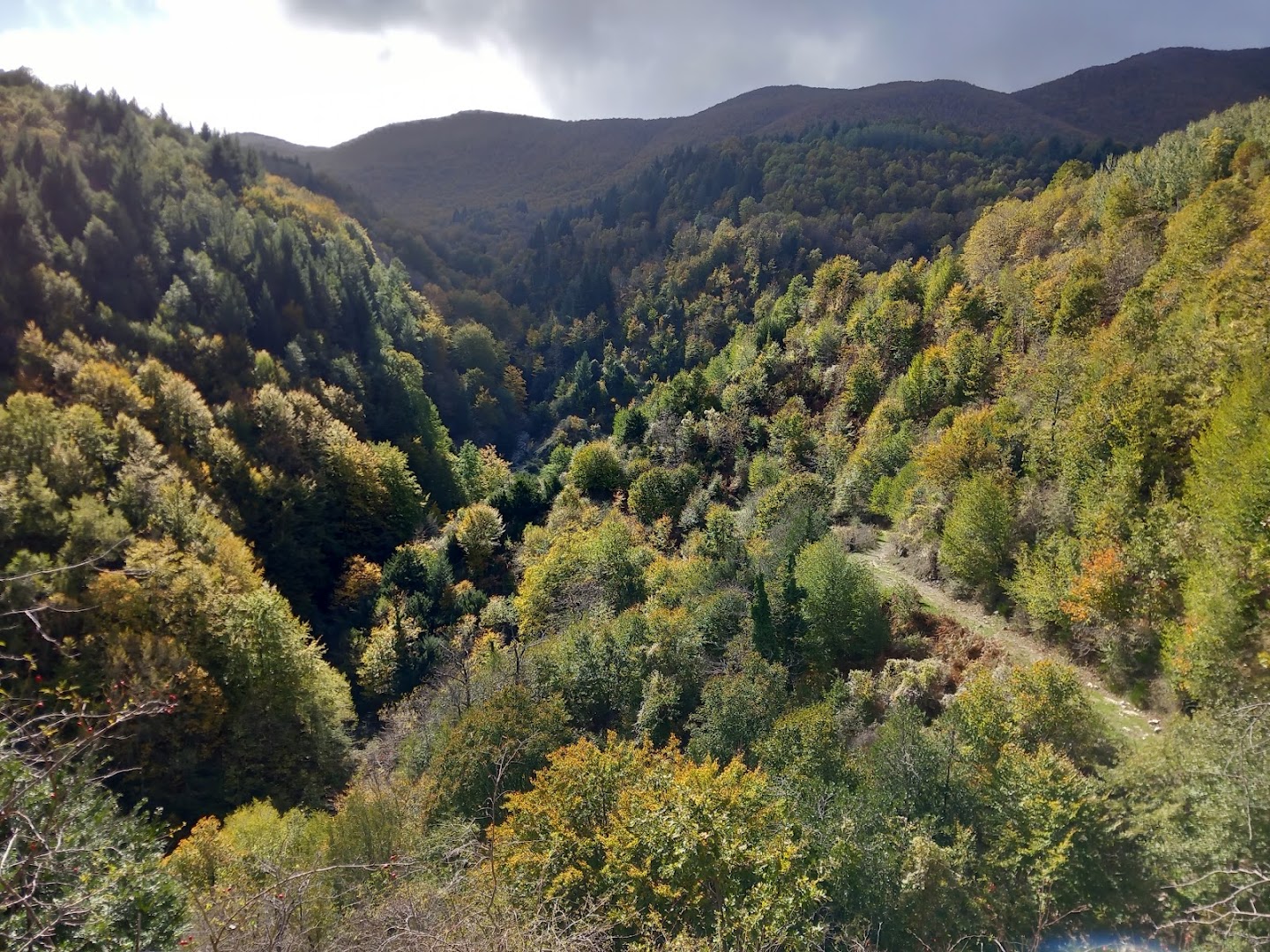 Piana del Pizzillo