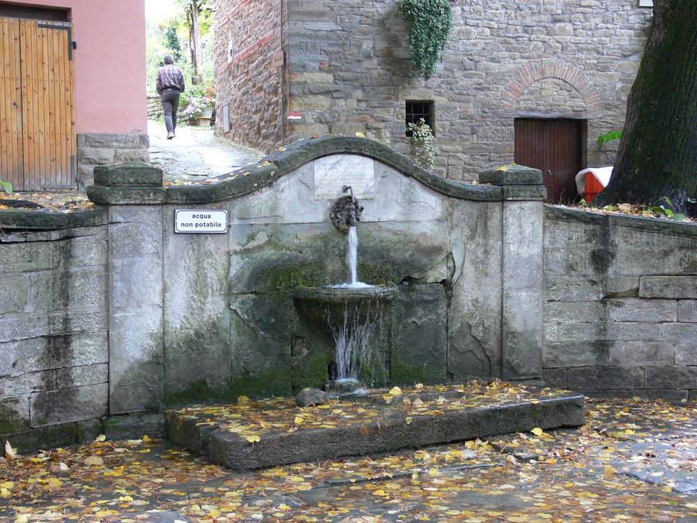 Pianetto, Galeata