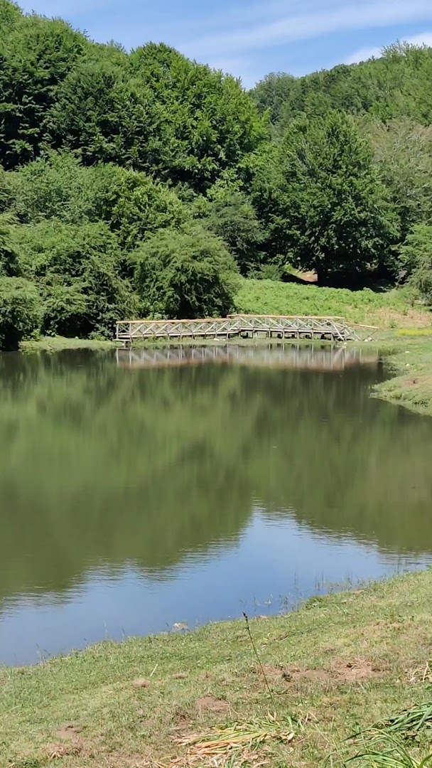 Piano Acqua della Madonna