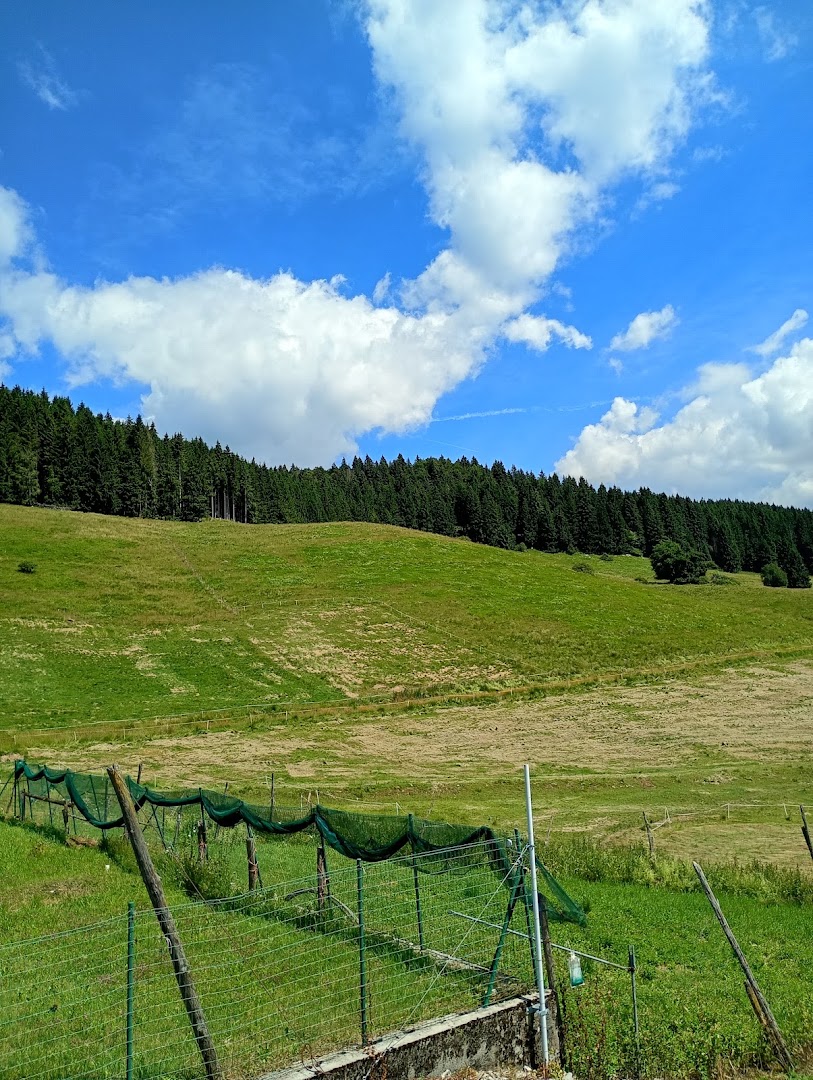 Piano di valmenera