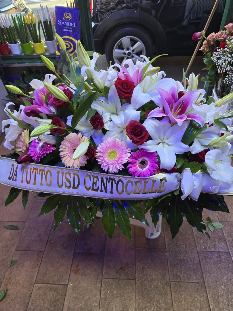Piante & fiori di veronica