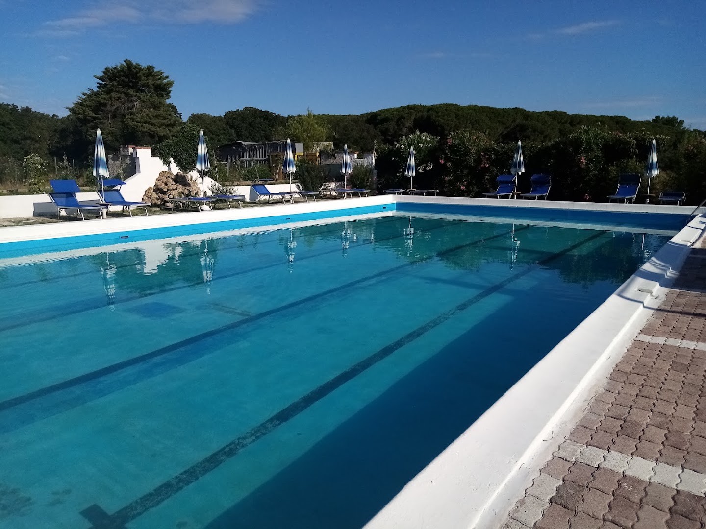 Picchio Rosso Sabaudia Circeo