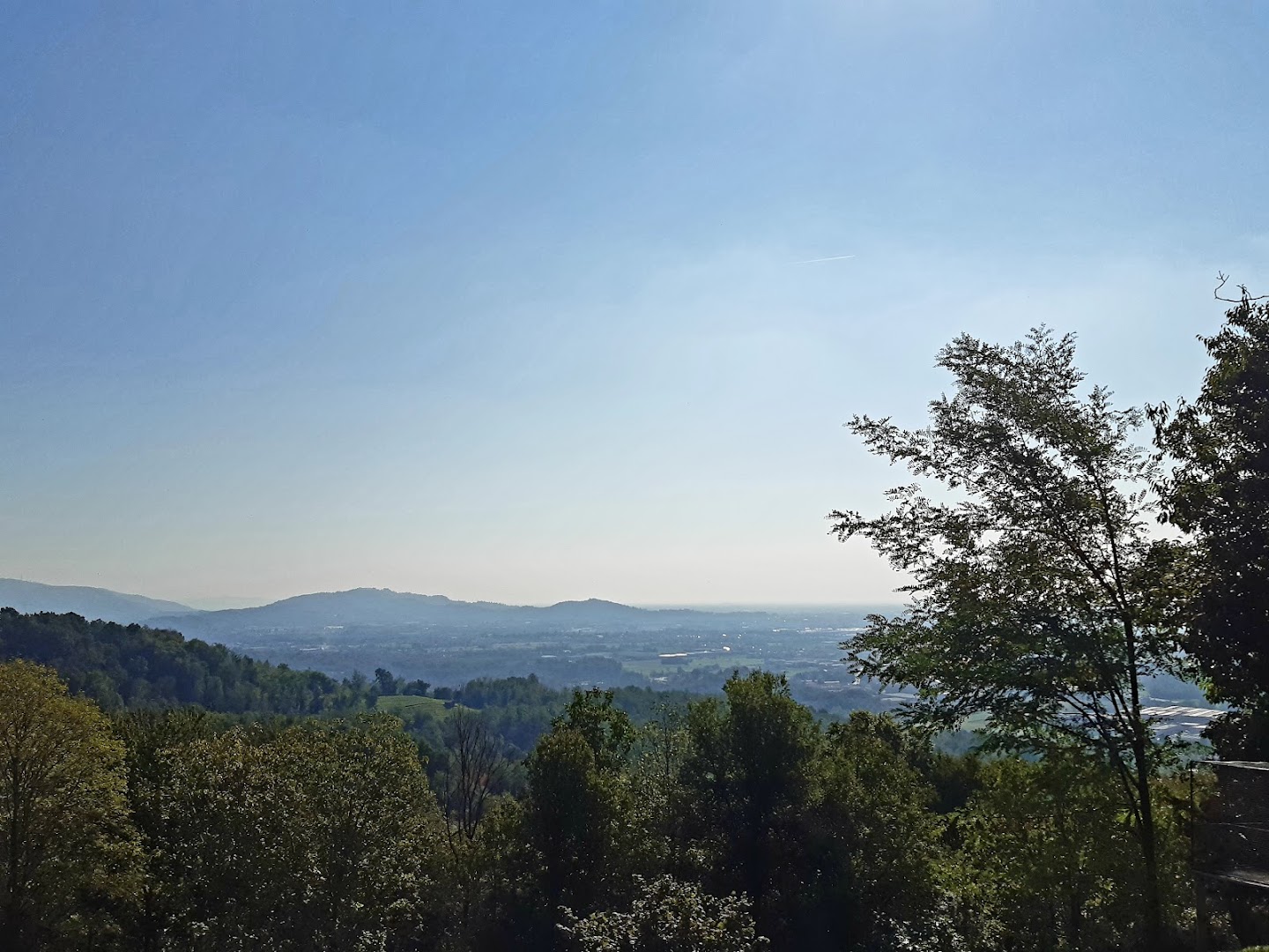 Picco Alto, Palazzago