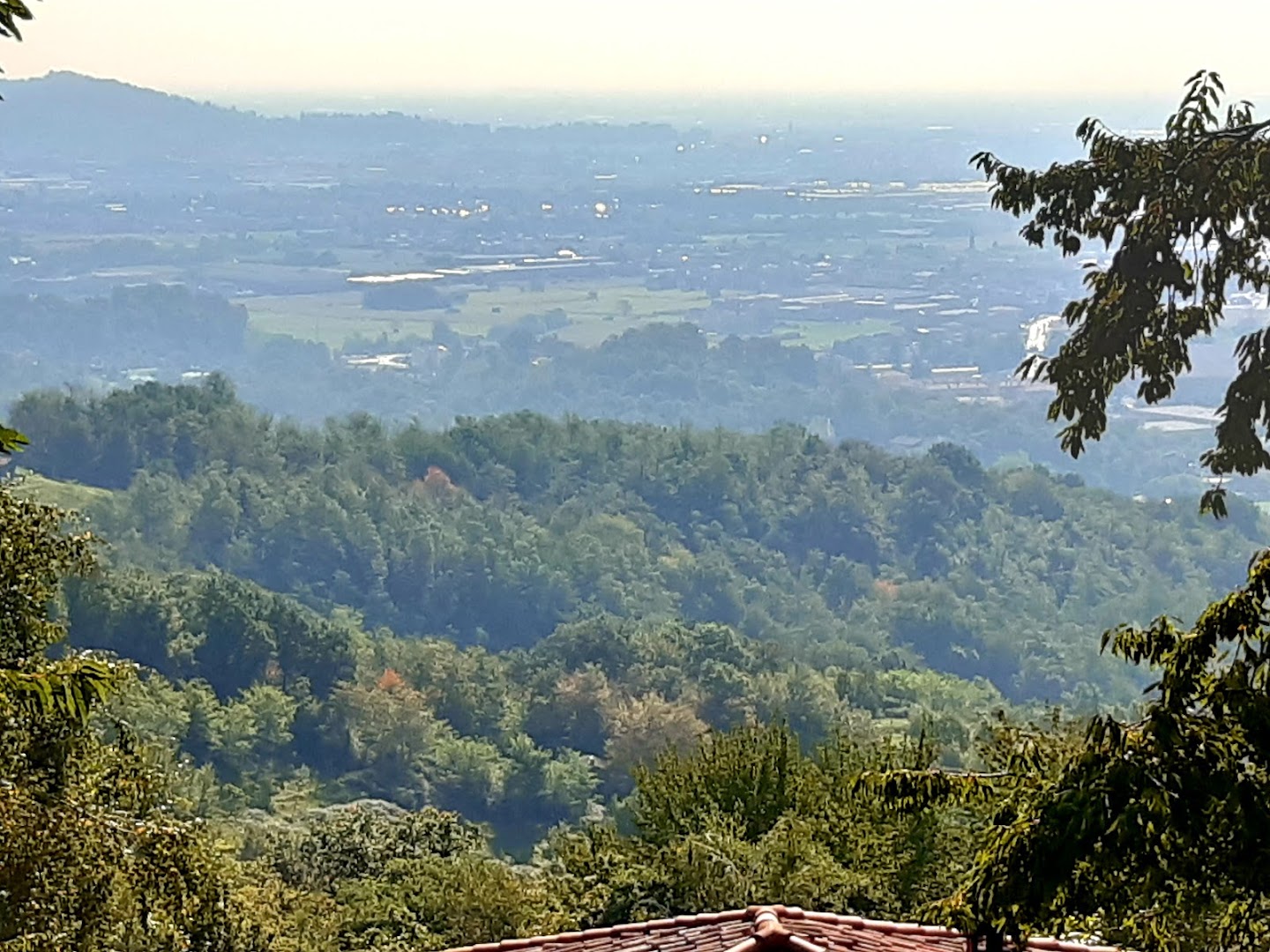 Picco Alto