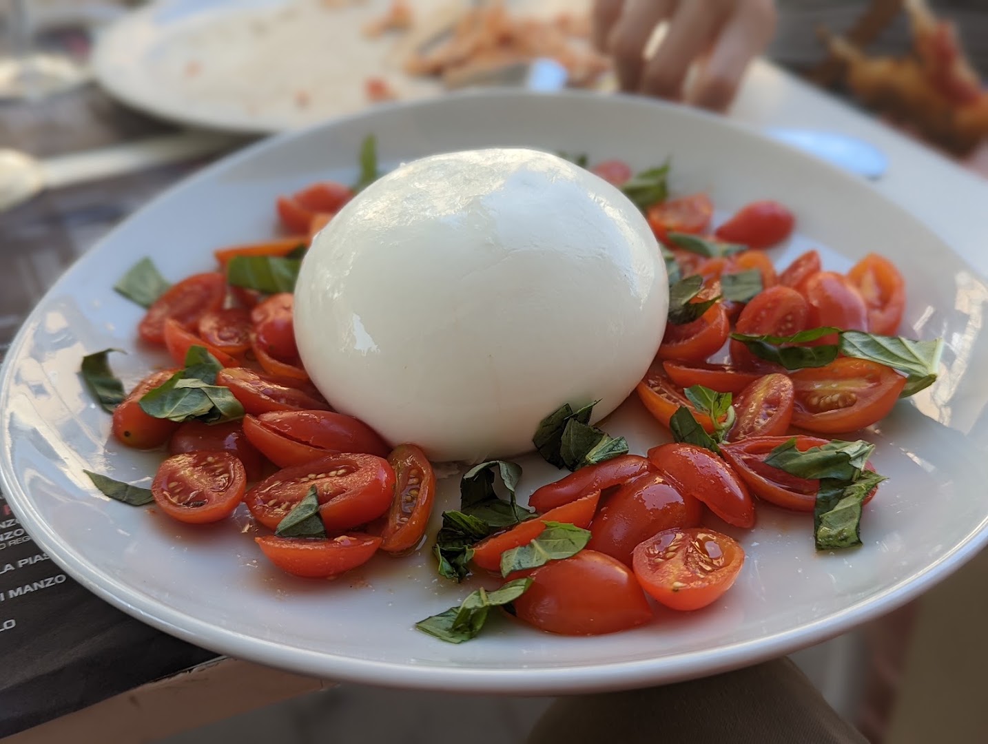 Picea Pizzeria