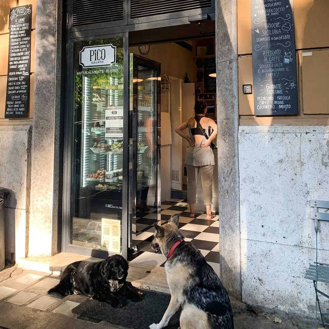 Pico Gelato - Flaminio