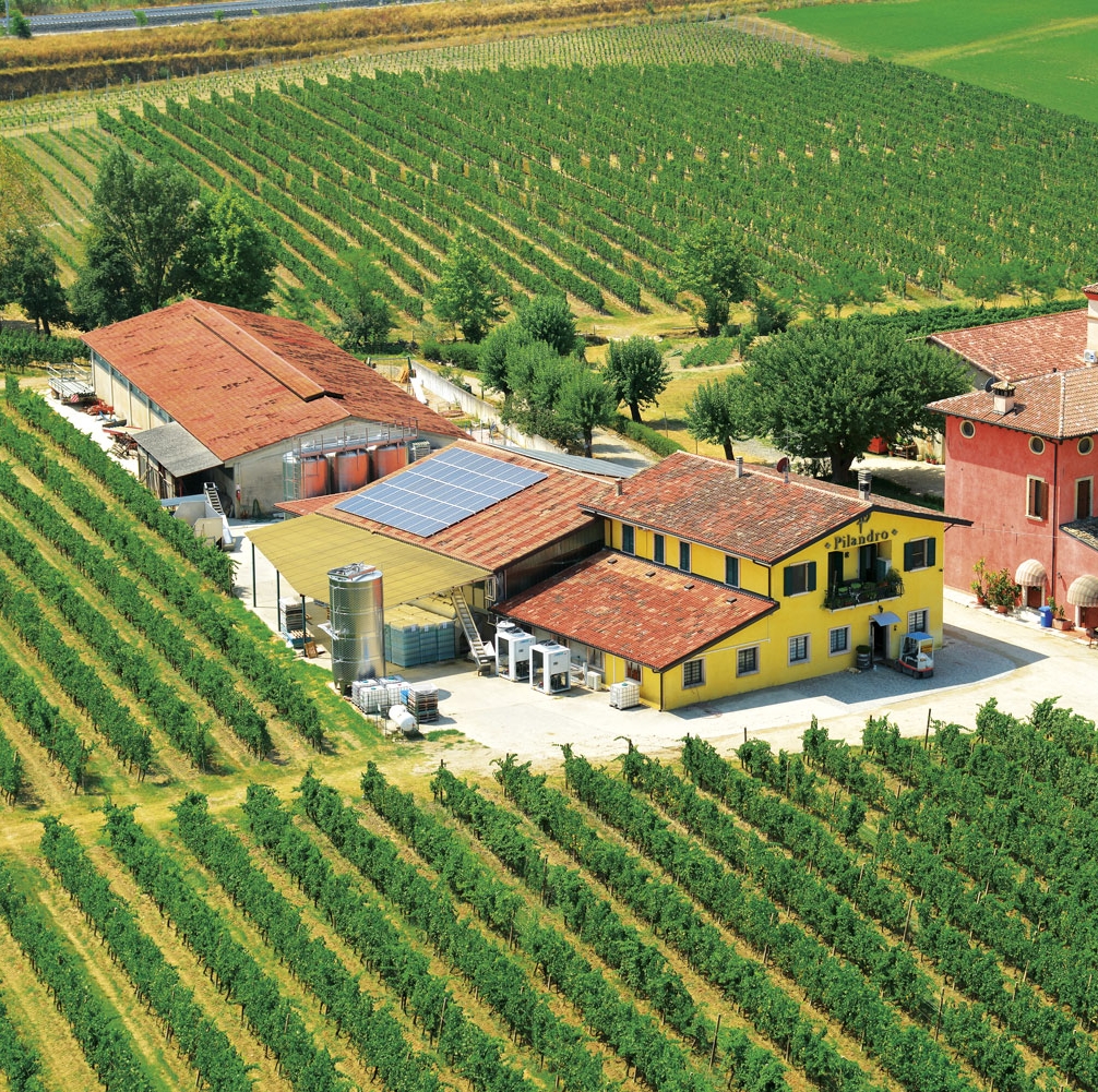 Pilandro - Azienda Agricola