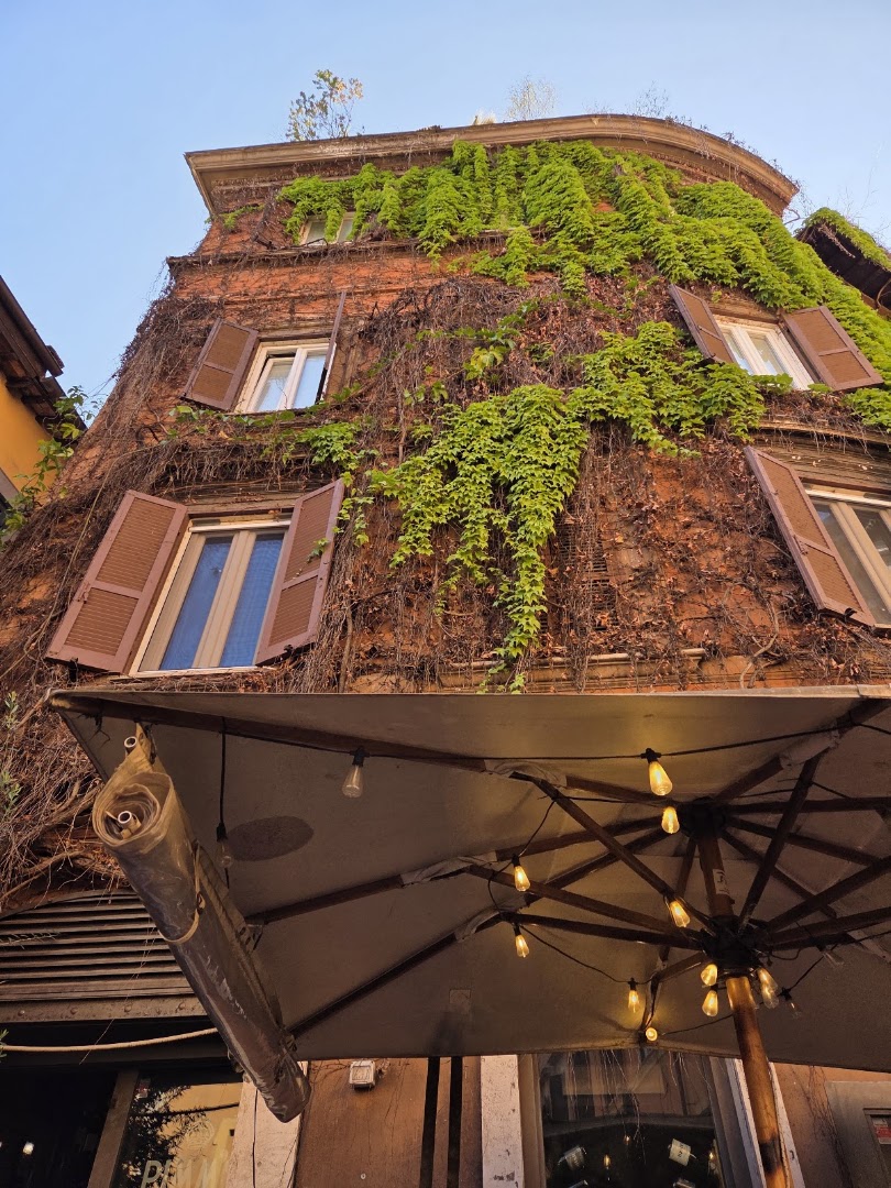 Pimm'S Good, Roma