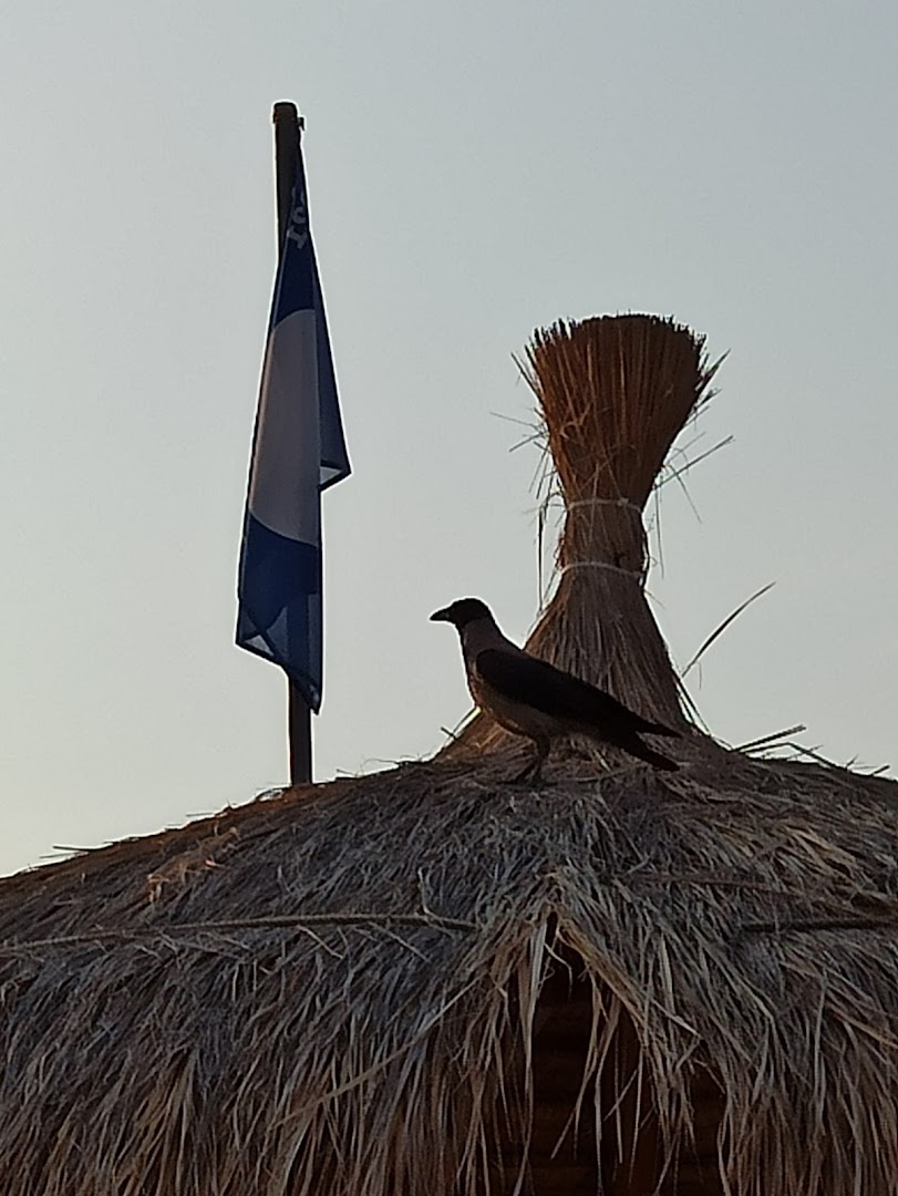 Pinalba