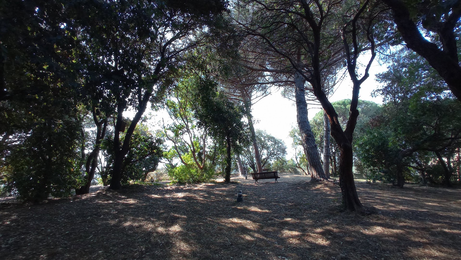 Pineta Bottini, Celle Ligure