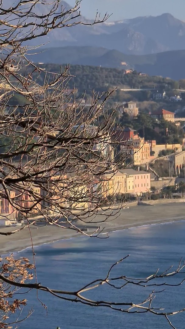 Pineta Bottini
